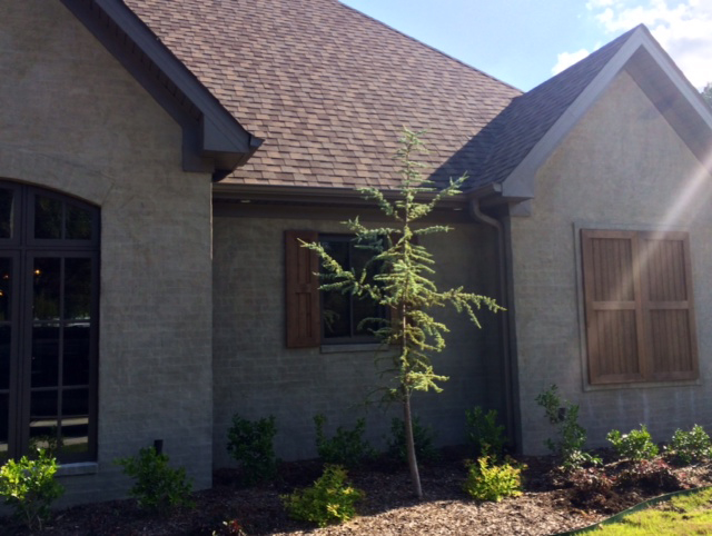 Side View of this 4-Bedroom,2340 Sq Ft Plan -2340